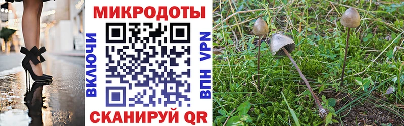 Псилоцибиновые грибы мухоморы  Тырныауз 